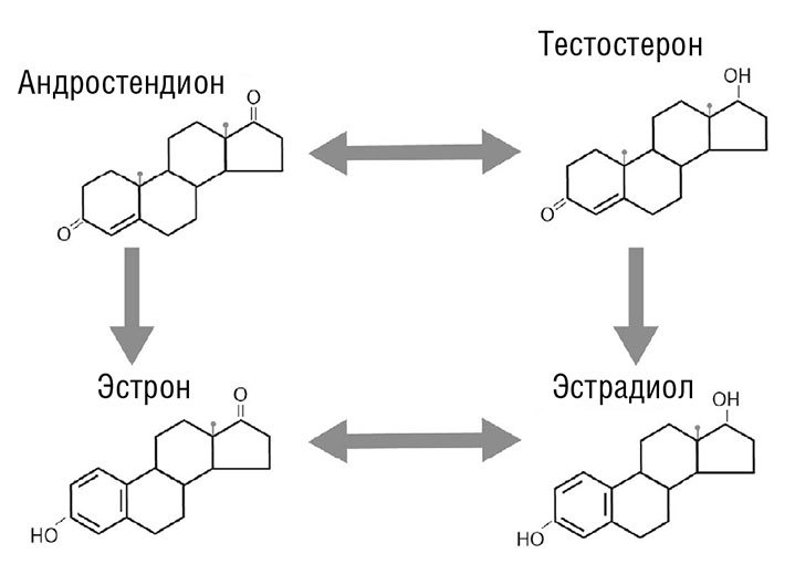 Менопауза. Как оставаться здоровой и сексуальной - i_009.jpg