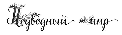 Тайна города под водой - i_004.jpg