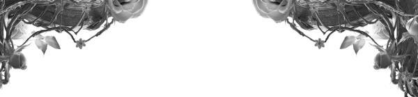 Вайолет, созданная из шипов - i_010.jpg