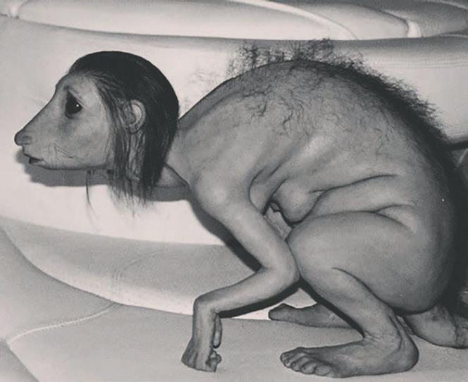 Двенадцать: от грызунов до кабанов - i_003.jpg