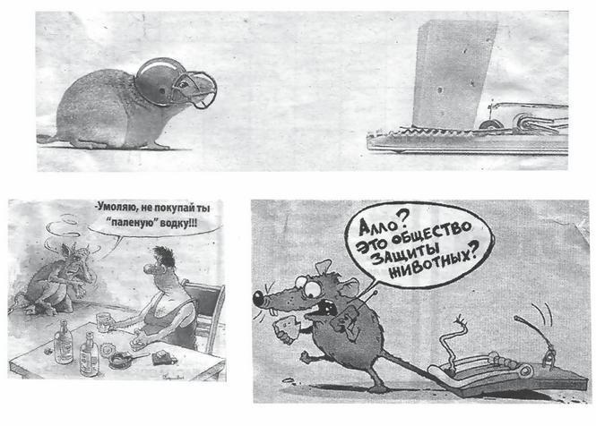 Двенадцать: от грызунов до кабанов - i_004.jpg