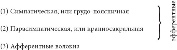 Тело и зрелое поведение. Фундаментальные основы тревожности, сексуальности и способности к обучению. Паттерны движения в условиях воздействия силы тяжести - i_009.jpg