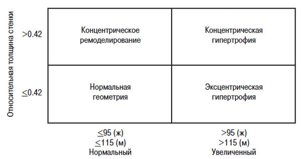 Сердце спортсмена. Актуальные проблемы спортивной кардиологии - i_006.jpg