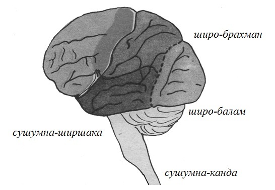 Йога индийская и даосская. Биоэнергетическая система саморегуляции - _1.jpg