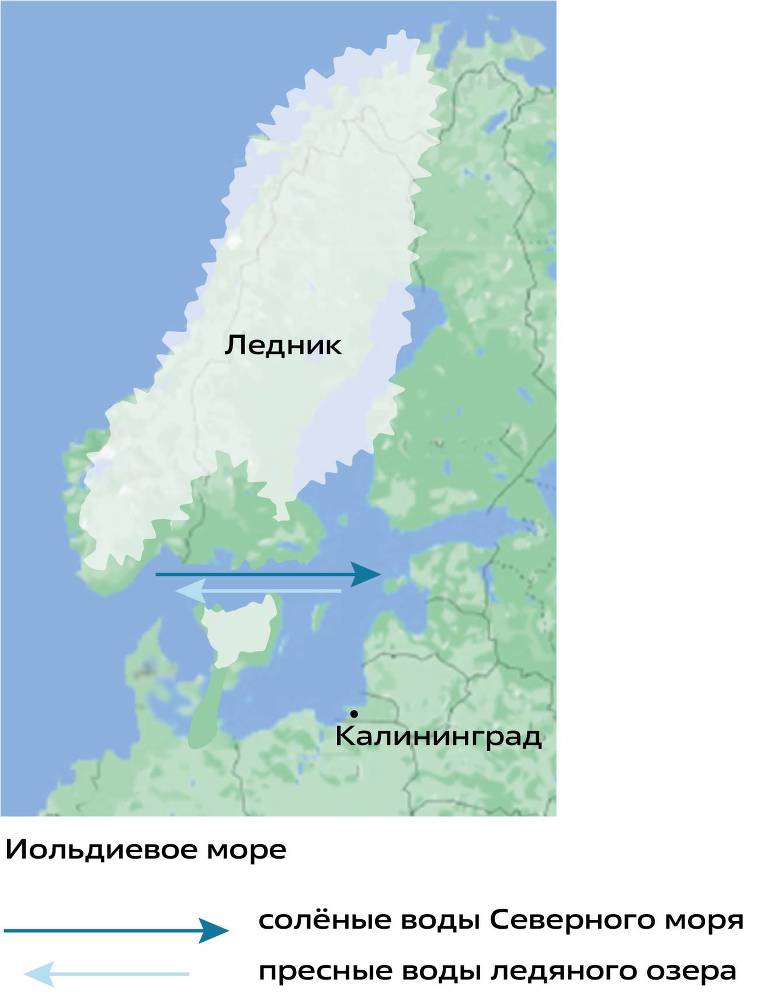 Балтийское море и не только - _7.jpg