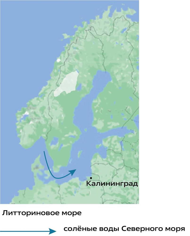 Балтийское море и не только - _13.jpg