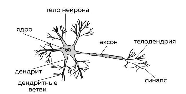 Ешь больше, тренируйся меньше, выгляди лучше! - i_008.jpg