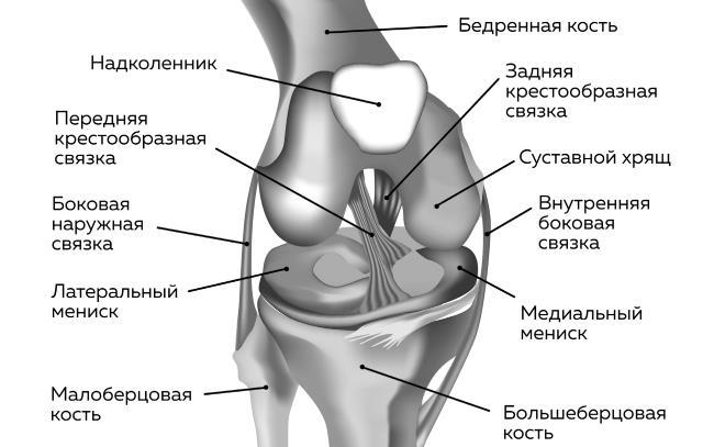 Ешь больше, тренируйся меньше, выгляди лучше! - i_010.jpg