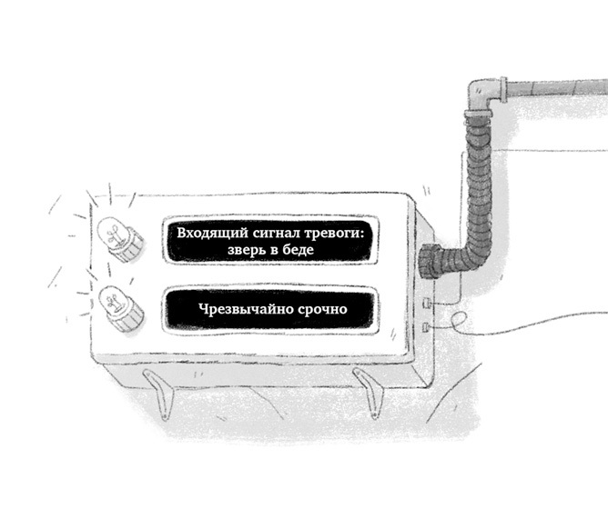 Миссия: Когтишкин - i_005.jpg