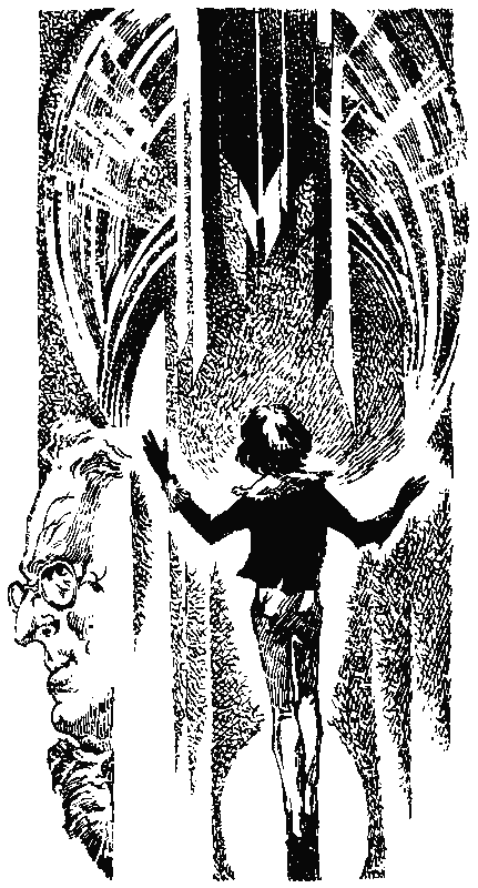 В глубине Великого Кристалла. Все произведения цикла. - pict_50.png