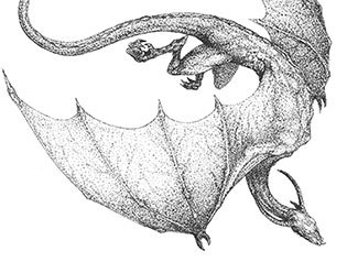 Ярость огня - i_008.jpg