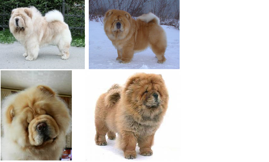 #чаучаумойвыбор - img_8.png