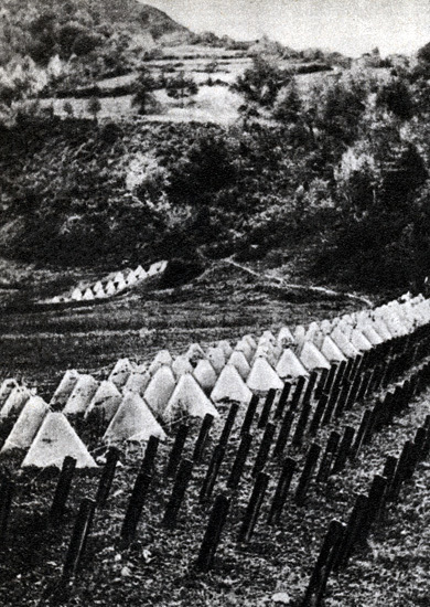 Битва за Карпаты 1944-1945. ТОМ II - _1.jpg