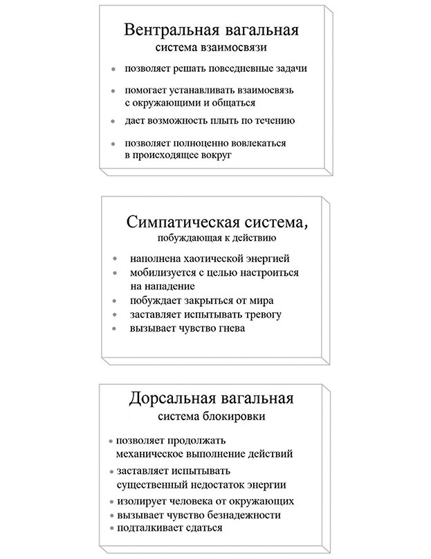 Тело на твоей стороне. Как сделать нервную систему своим союзником в достижении спокойствия - i_001.jpg