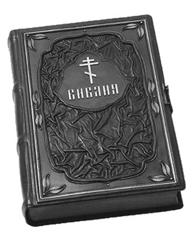 Преображение жизни силой смыслов. Путь могущества человека - i_073.jpg