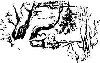 О любви побеждающей - img_17.jpeg