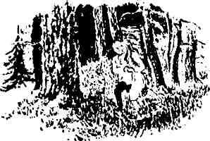 О любви побеждающей - img_9.jpeg