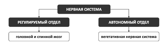 Поменяй себя! Психосоматика беспокойств, стрессов и депрессий. Практическое руководство по быстрому избавлению - i_005.png