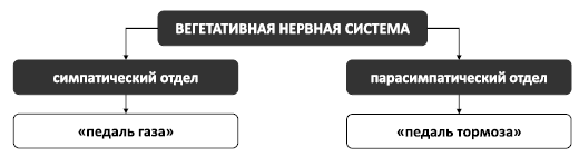 Поменяй себя! Психосоматика беспокойств, стрессов и депрессий. Практическое руководство по быстрому избавлению - i_006.png