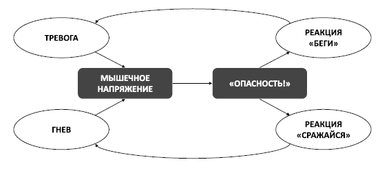 Поменяй себя! Психосоматика беспокойств, стрессов и депрессий. Практическое руководство по быстрому избавлению - i_010.png