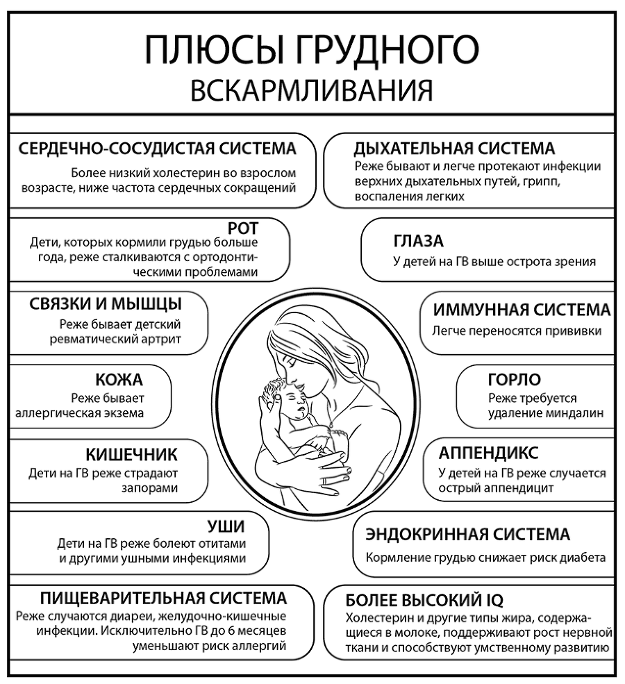 Книга молодых родителей. Проверенные способы воспитания и ухода в первые годы жизни ребенка - i_006.png