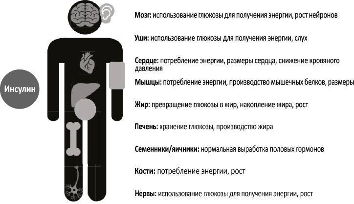 Почему мы болеем? Какая скрытая причина лежит в основе большинства хронических заболеваний и как с ней бороться - i_004.jpg