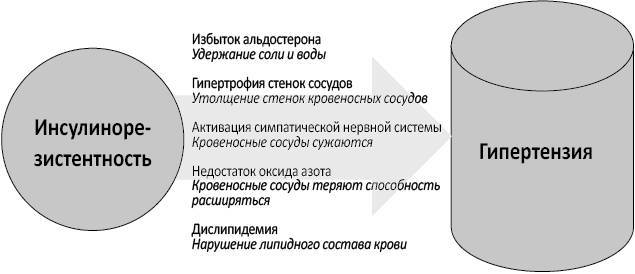 Почему мы болеем? Какая скрытая причина лежит в основе большинства хронических заболеваний и как с ней бороться - i_006.jpg