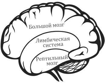 Перепрошивка мозга. Как заново запрограммировать подсознание - i_008.jpg