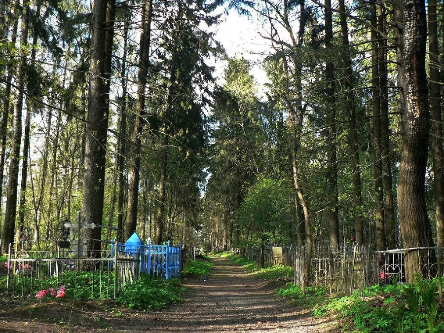 Гайка, Клюшка и Макар. Легенда о летящей тигрице. Часть 5 Небо уносит лучших. <br />5.1. Пока еще безоблачное небо - _2.jpg