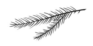 Охота на маленькую щуку - i_001.jpg