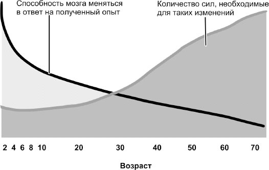 Внимание и память, и Почему они работали лучше, пока ты все не испортил - i_008.jpg