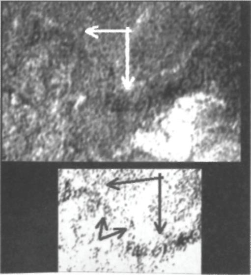 Тёмная миссия. Секретная история NASA - img1932.jpg