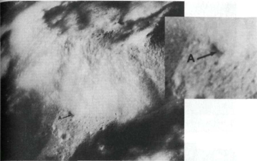 Тёмная миссия. Секретная история NASA - img64A4.jpg