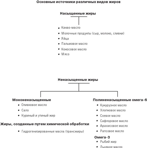 Большой жирный сюрприз. Ошеломляющее открытие о том, как защитить организм от лишнего веса, заболеваний сердца и нервных расстройств - i_001.jpg