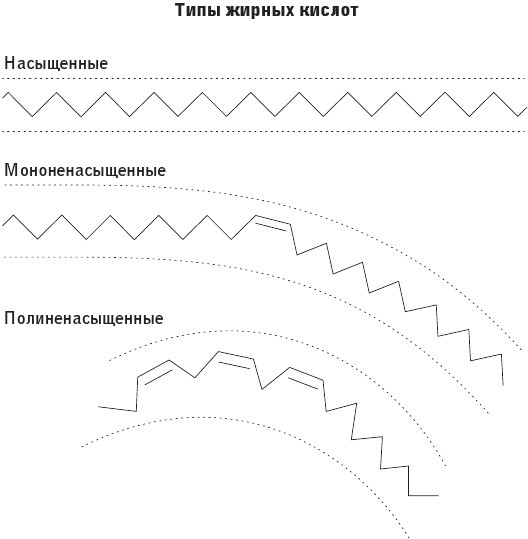 Большой жирный сюрприз. Ошеломляющее открытие о том, как защитить организм от лишнего веса, заболеваний сердца и нервных расстройств - i_003.jpg