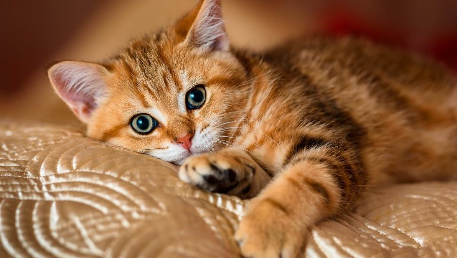 Мы не пара (СИ) - _8.jpg