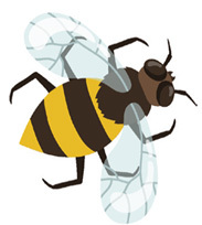 Придумки Пчелиты. Задания, игры и задачки для развития творческого мышления детей вместе с Пчелитой - i_002.jpg