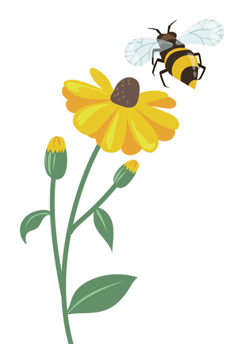 Придумки Пчелиты. Задания, игры и задачки для развития творческого мышления детей вместе с Пчелитой - i_004.jpg