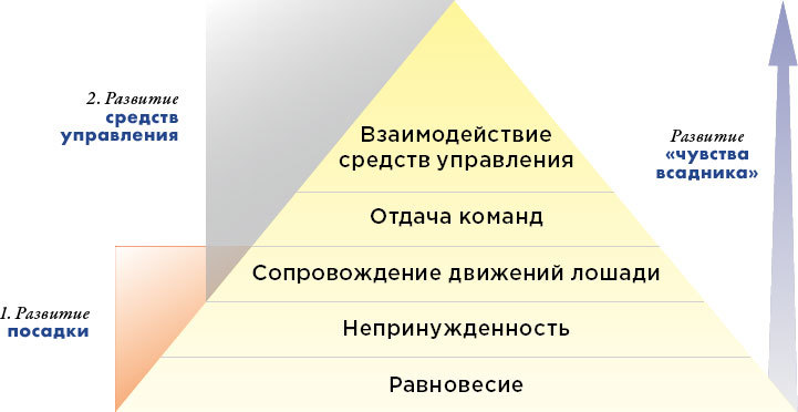 Практическое руководство по конному спорту. Том 1. Начальная подготовка всадника и лошади - i_061.jpg