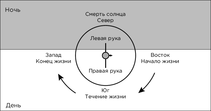 Почему сердце находится слева, а стрелки часов движутся вправо. Тайны асимметричности мира - i_012.png