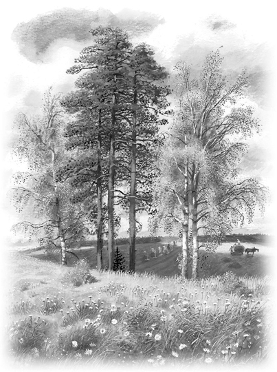 Все-все-все сказки, рассказы, были и басни - i_014.jpg