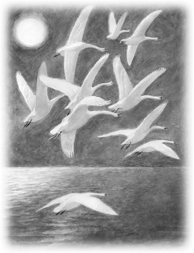 Все-все-все сказки, рассказы, были и басни - i_044.jpg