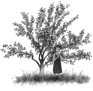 Все-все-все сказки, рассказы, были и басни - i_048.jpg