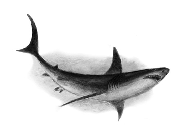 Все-все-все сказки, рассказы, были и басни - i_049.jpg