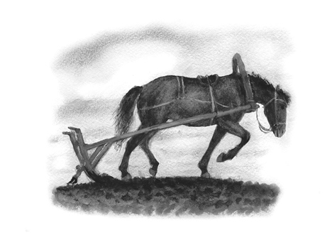 Все-все-все сказки, рассказы, были и басни - i_065.jpg