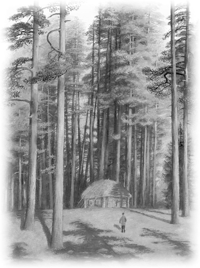 Все-все-все сказки, рассказы, были и басни - i_078.jpg