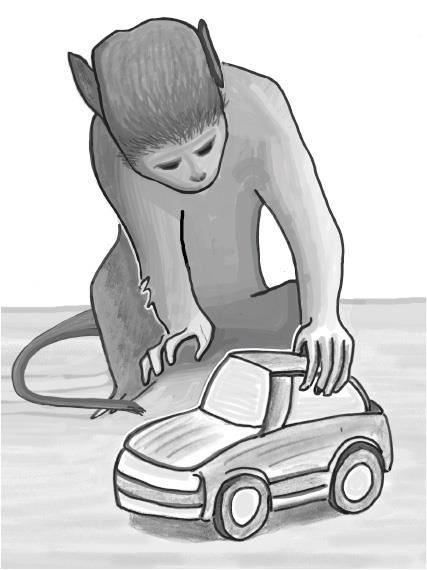 Разные. Мужское и женское глазами приматолога - i_002.jpg