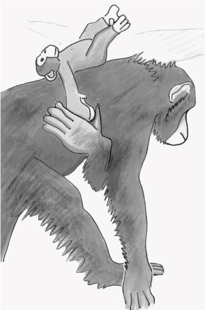 Разные. Мужское и женское глазами приматолога - i_003.jpg