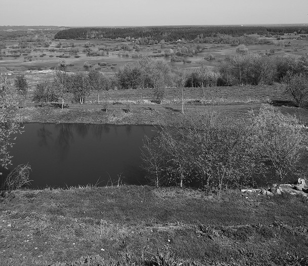 Чужими голосами. Память о крестьянских восстаниях эпохи Гражданской войны - b00000155.jpg