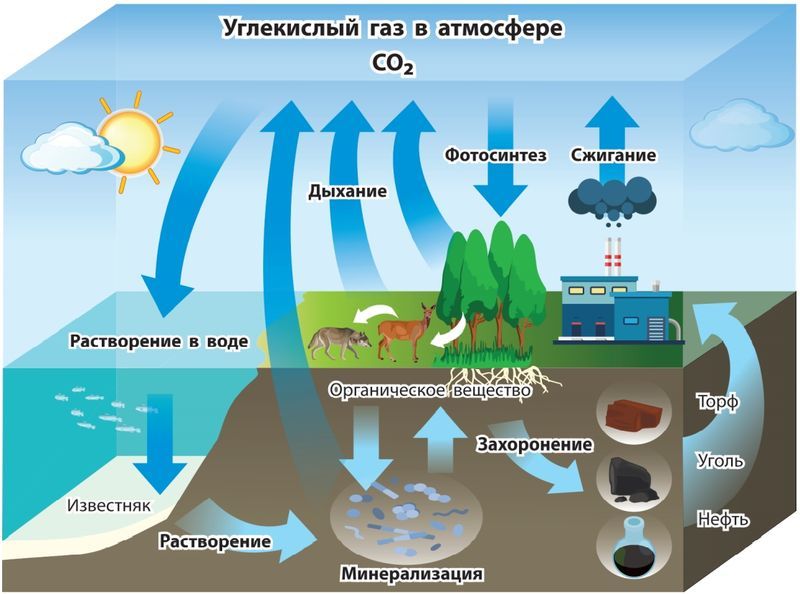 Глобальное потепление или глобальное похолодание? - _6.jpg